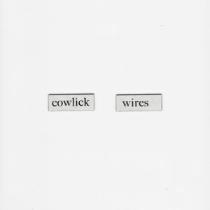 cowlick wires