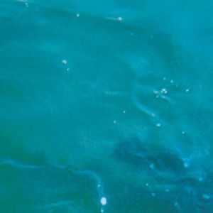 Fluorescent Heights tourism subsuburban lp 2011