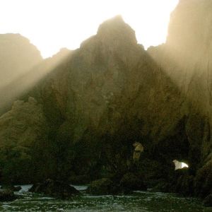 white magic white widow 7 2011