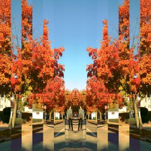 prince moondog green walls 2012 single