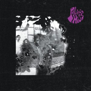 purling hiss water on mars lp 2013 drag city