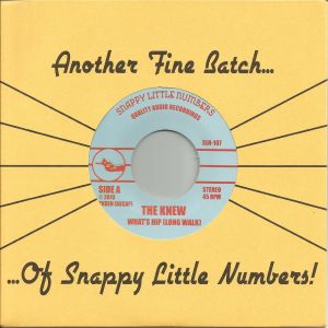 the knew what's hip 7 snappy little numbers 2013