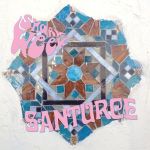 shark week santurce 7 analog edition records 2013