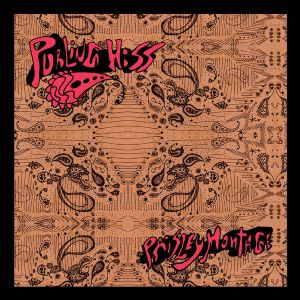purling hiss paisley montage lp 2013 testostertunes