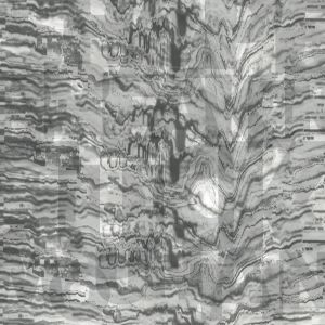 shape breaker fuck mountain split 7 gary records 2014