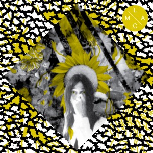 fuzz ccr headcleaner split 7 lamc famous class 2014