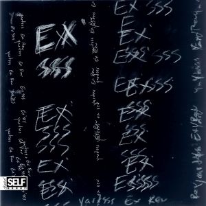 Yardsss Ex Rev ex'sss split 7 self group 2014