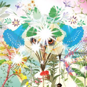 ooioo gamel lp thrill jockey 2014