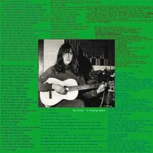 pip proud a fraying space lp em records 2014