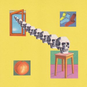 skygreen leopards family crimes lp 2014 woodsist