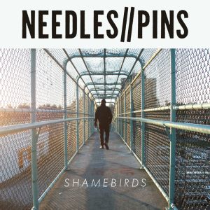 needles pins shamebirds lp dirt cult records 2014