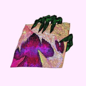 wand ganglion reef lp god drag city 2014