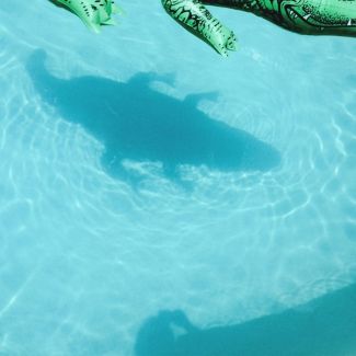 shopping the official body lp fat cat records 2018