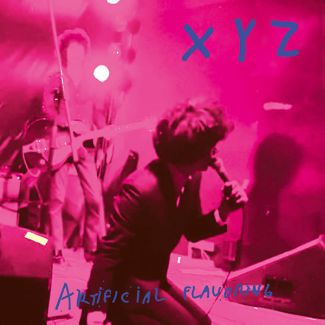 XYZ artificial flavoring lp mono tone records 2018